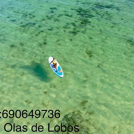 Apartament Luna De Lobos Corralejo